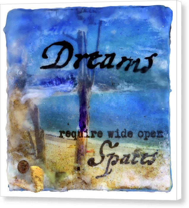 Sea Echoes Collector Series: v1.6 "Dreams Require Wide Open Spaces" - Canvas Print